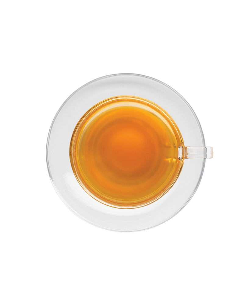 
                  
                    Recover/GREEN TEA WITH MORINGA, GINGER, CINNAMON, LEMONGRASS, PEPPERMINT & CLOVE
                  
                